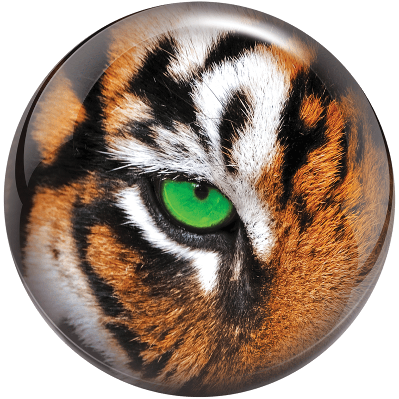 Brunswick Tiger